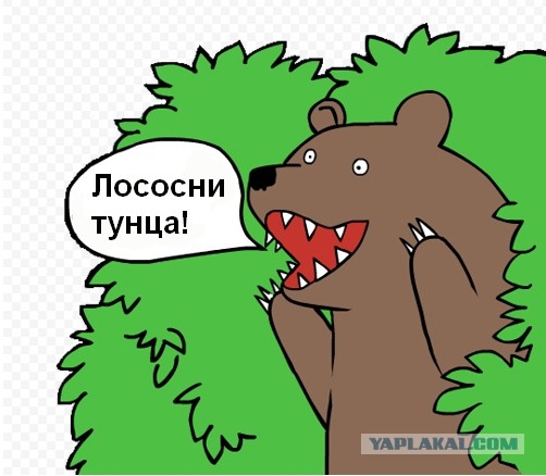 Обама доел за медведем лосося