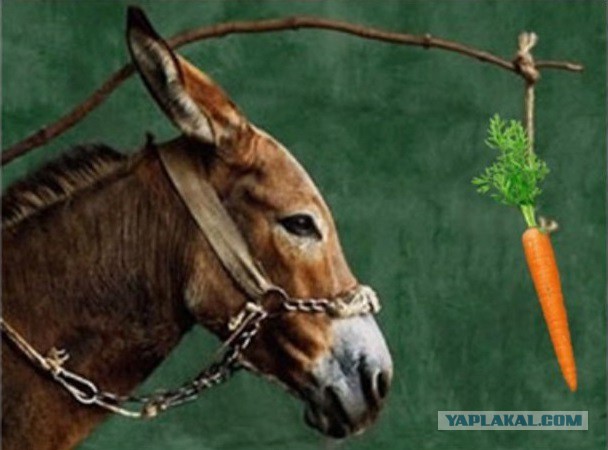 Порошенко подписал пакет «безвизовых законов»