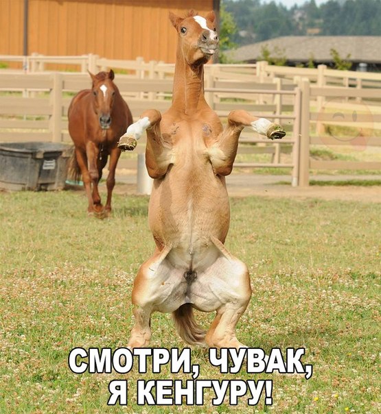 Картинки разные 2