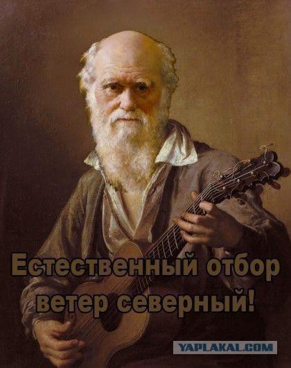 Подожгла "пистолет" на заправке в Сургуте, решила подсветить в бензобак...