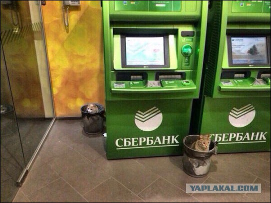 Новая подборка картинок