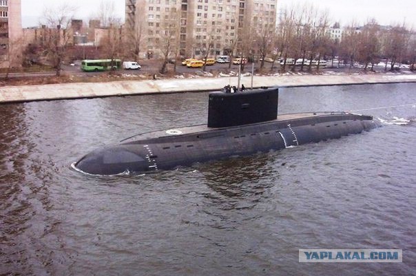 Весёлые картинки