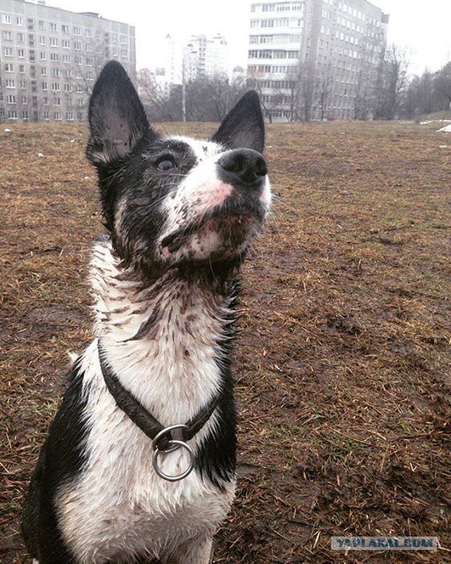 Понять и простить