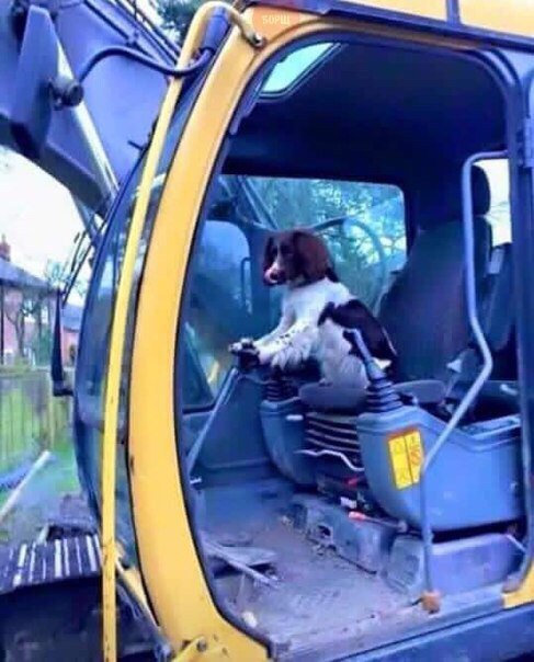 "Оцените ужасные последствия торнадо... Стоп! Что это?"