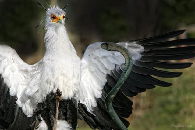 Подборка картинок 29.03.16