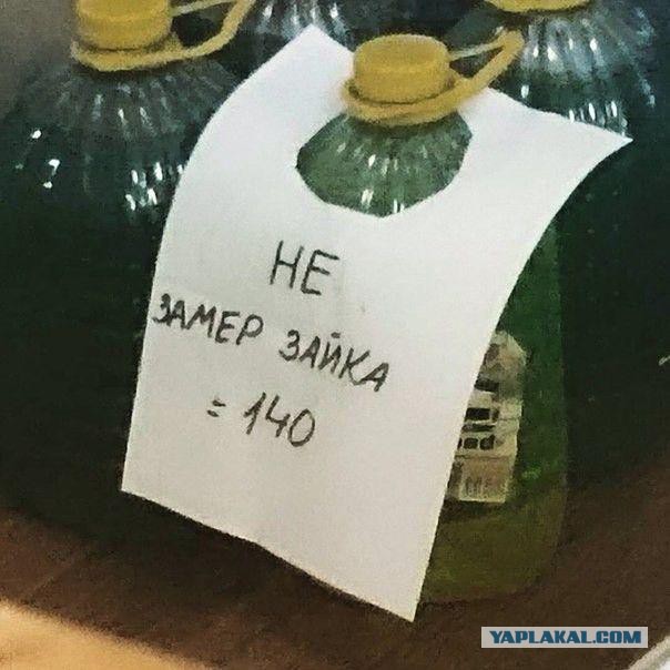 Солнечные панели, мыть или не мыть? Провел эксперимент