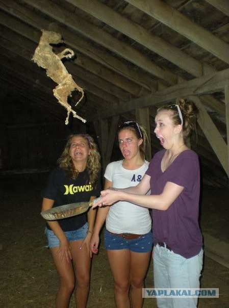 Ужасы и приколы из соцсетей 18+