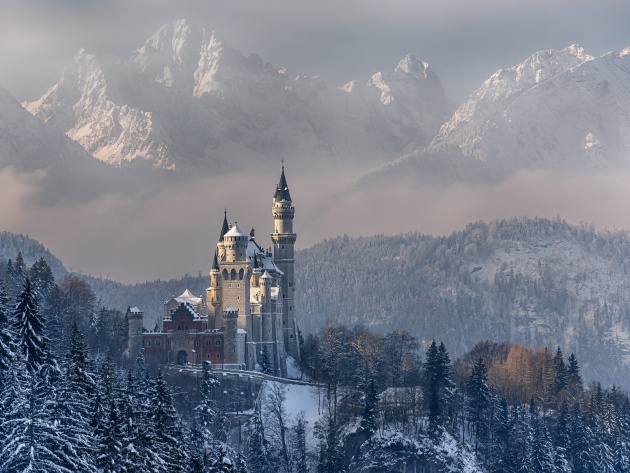 Подборка интересных и веселых фото