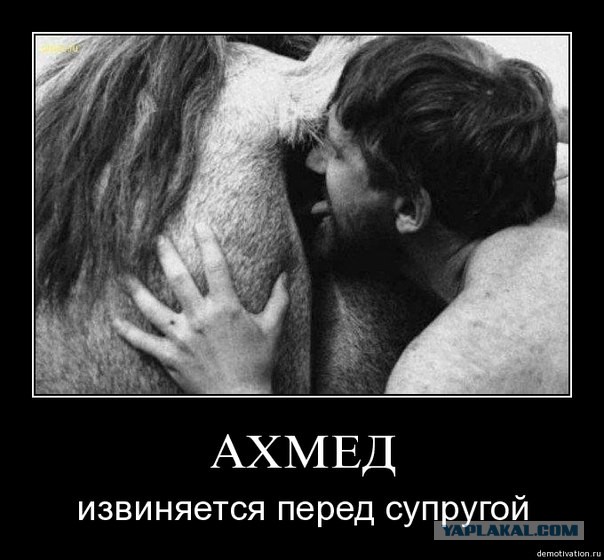 Это Кавказ, детка!