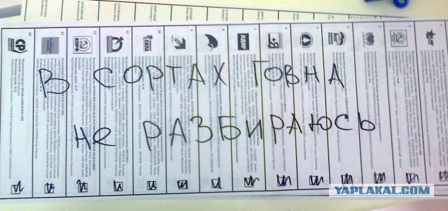 Сенатор предложила наказывать родителей, не работающих без уважительных причин