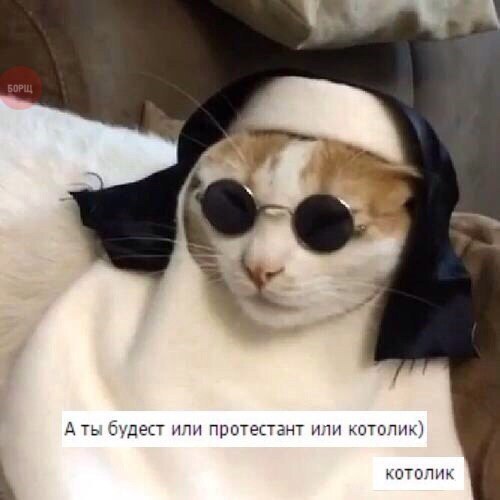 Порция картинок из сети