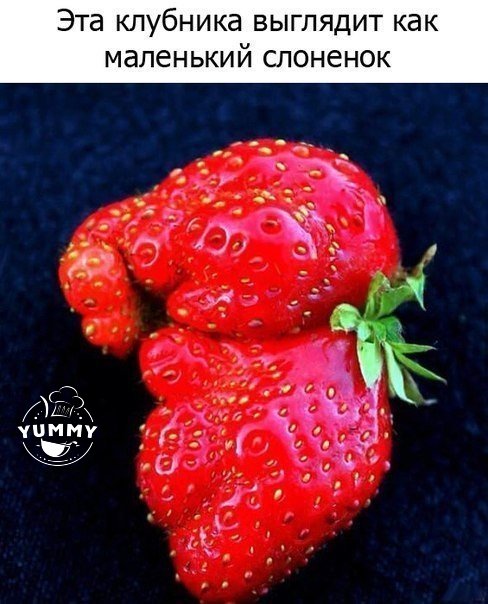 Весёлые картинки 30.11.2016
