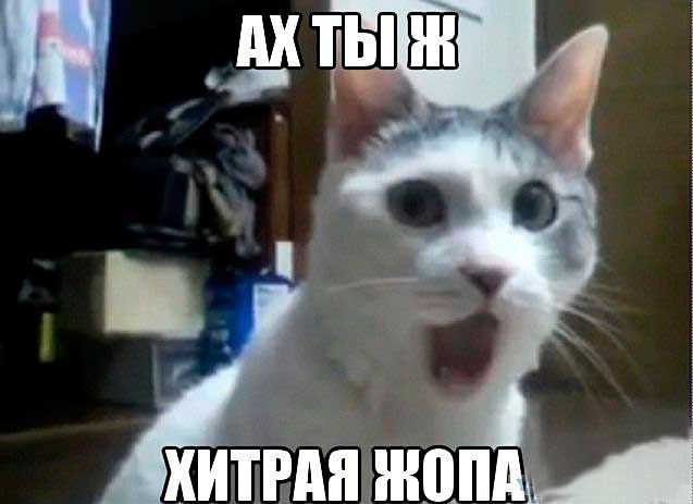 Девушки, которым скучно на работе