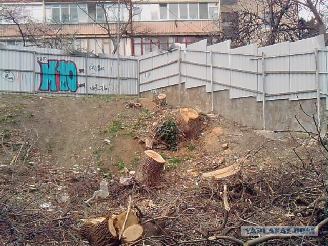 Отстаивать ли Севастополь?