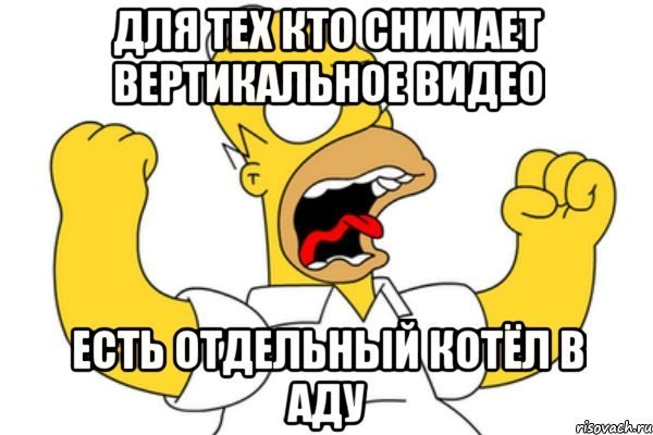 Кошка на похоронах хозяина