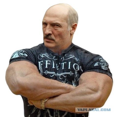 Батька