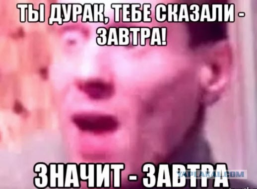Обиженный Макаревич в недоумении: за что русские отказались помочь ему в ЕС