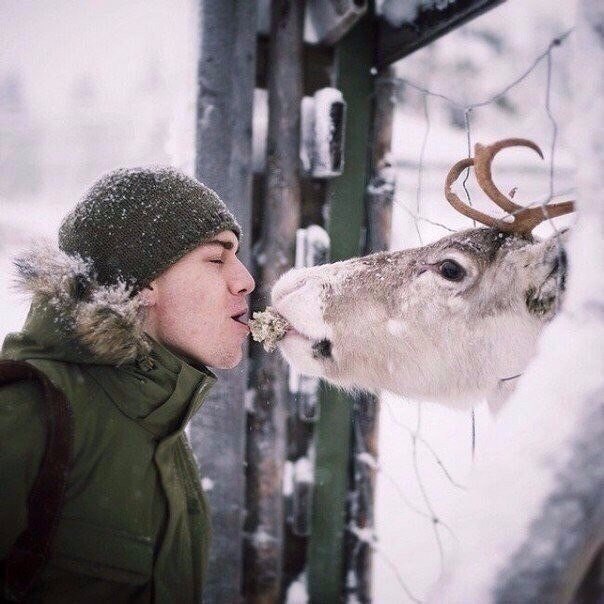 Живность из сети
