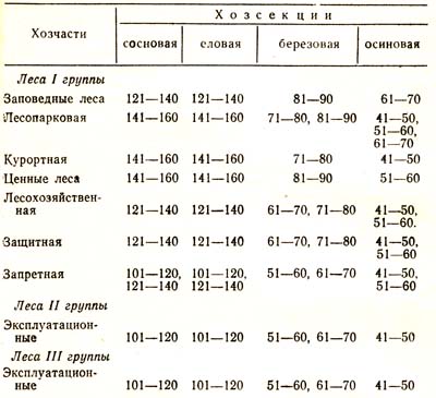 Вырубка леса в Сибири
