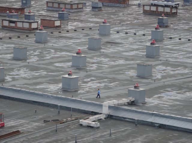 Россия решила начать производство хлопка