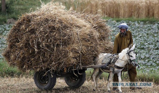В Россию и Беларусь вернется подзабытая марка недорогих машин