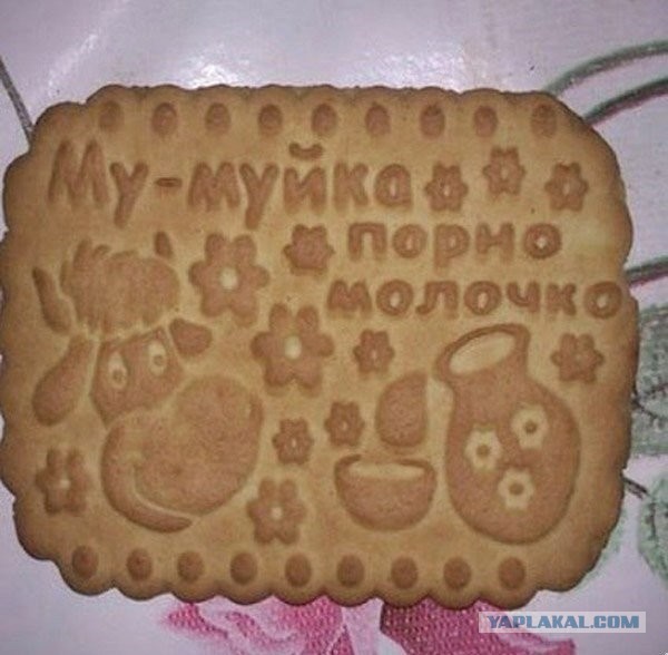Смешные объявления, надписи и вывески