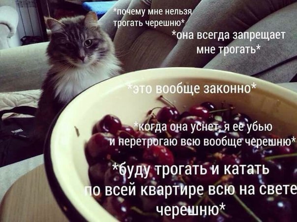 Немного картинок в эту субботу