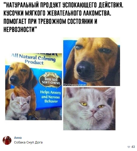 Нестандартный юмор