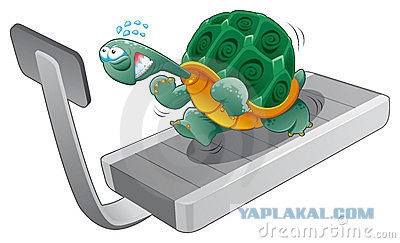 Смешной тюнинг животных!