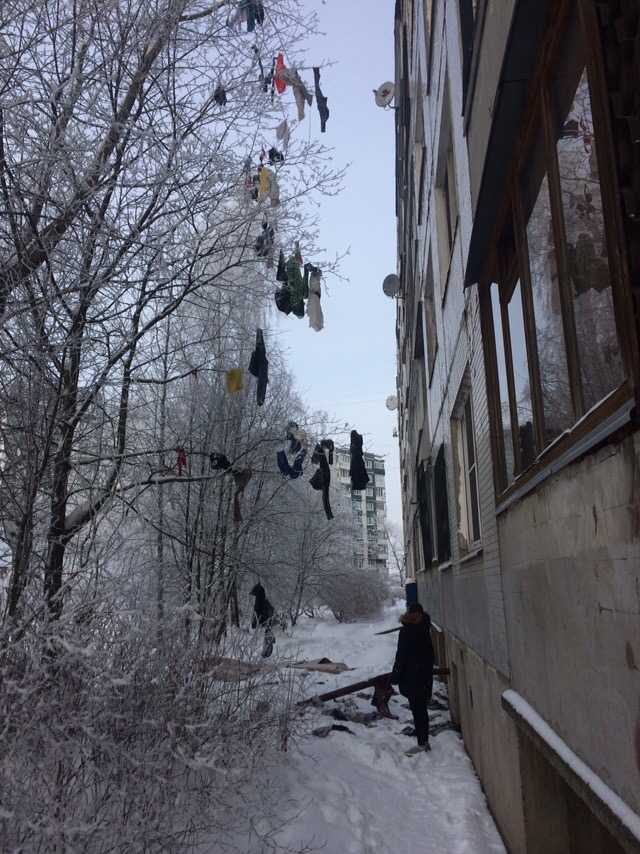 Выловлено в наших сетях