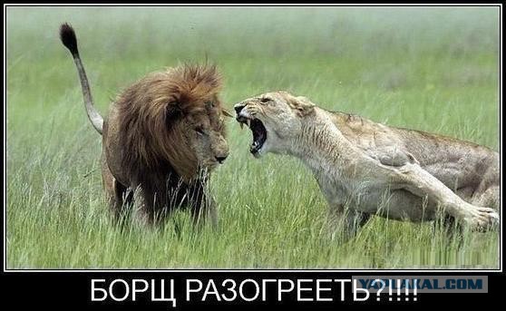 Девушка о полигамии