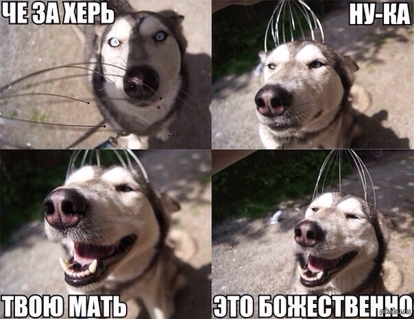Что это за штуковина?