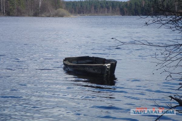 Похвастаемся?