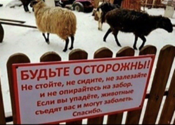 Бредзона 17.01.2020