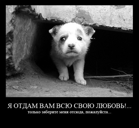Демотиваторы