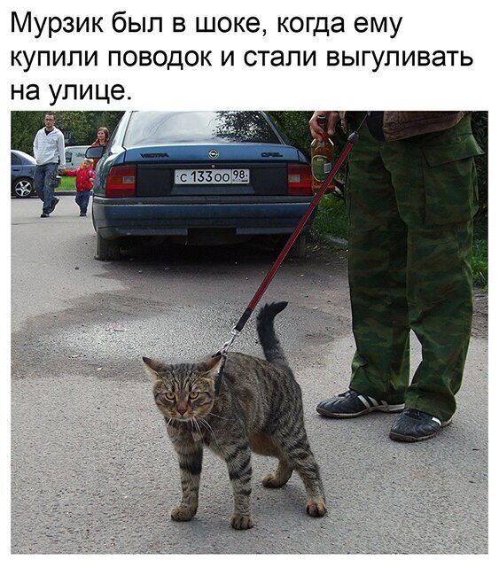 Пара-пара-пам! Фьють!