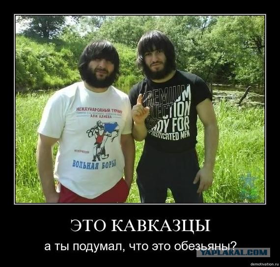 Жители Северной Осетии штурмовали больницу, чтобы своими глазами увидеть больных коронавирусом