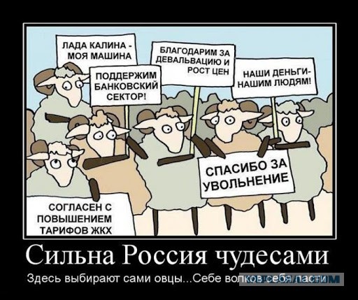 Обращение к Путину рязанских врачей
