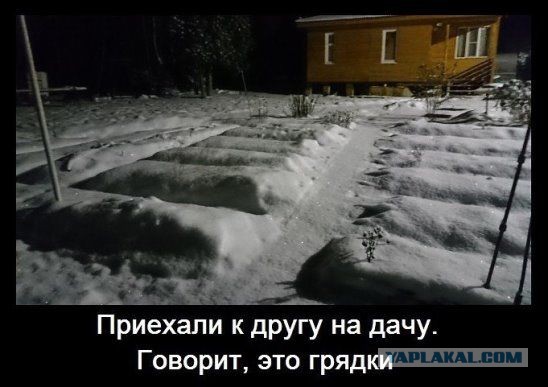 Дача - зло?!