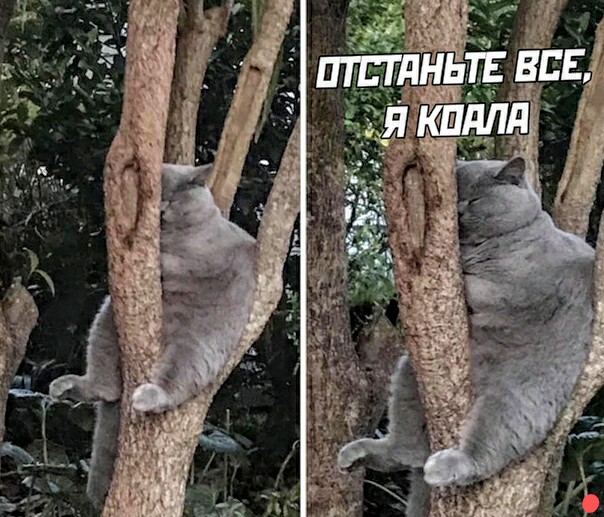 Немного картинок для настроения 118