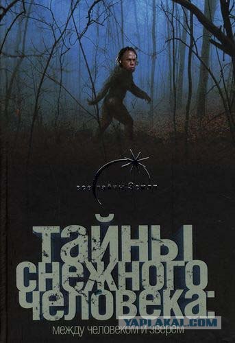 Cуровый сисадмин