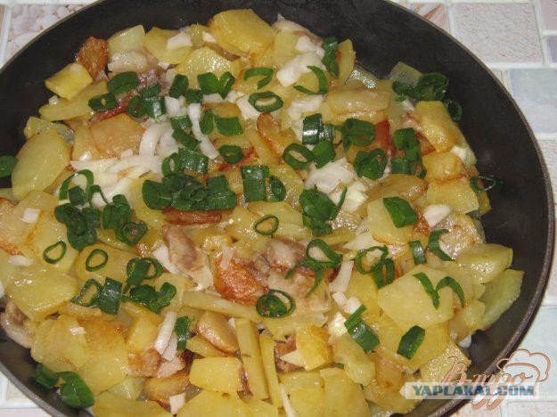 Картошка - антиславянская диверсия и убийца мозга