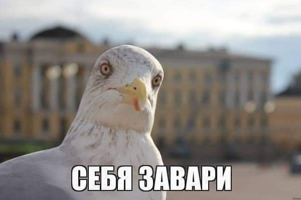Прикольные и просто красивые картинки 22.12.2020