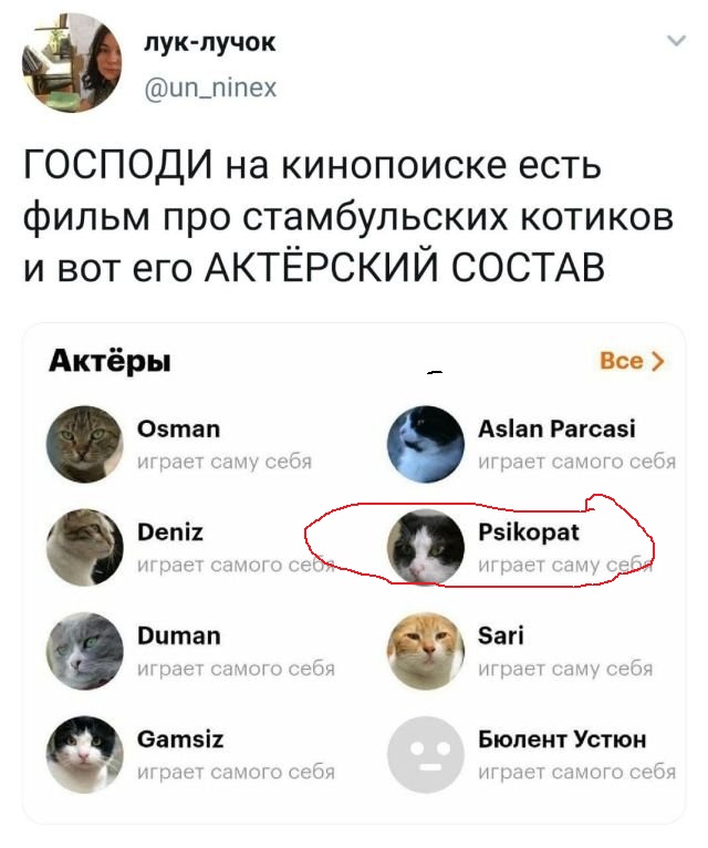 Картинки с надписями и всякие жизненные фразы 8.01.2021