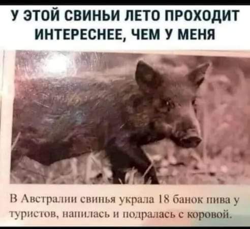 Всяческие картинки