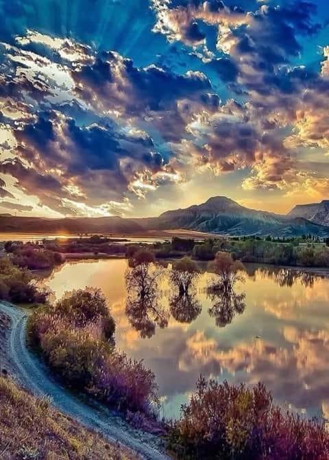 Упоротый Джа-дзен-пост