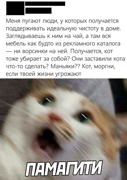 Так себе картинки 28.08.21