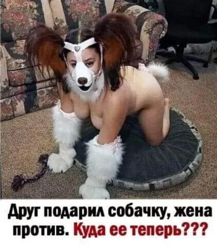Всяческие картинки 12.01.2022