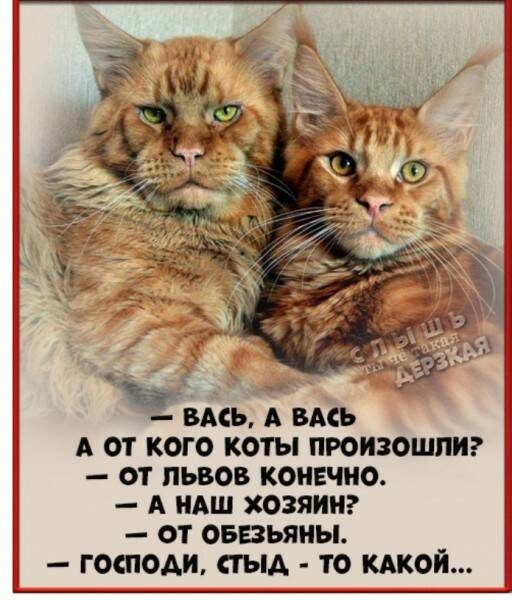 Злободневной Хни вам в ленту, дорогие деграданты...