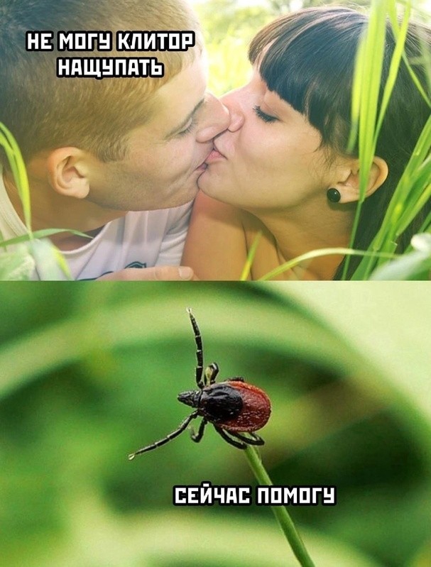 Валера и Эльвира (различия)